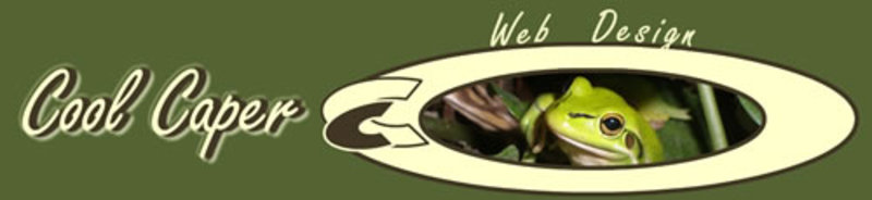 Cool Caper Web Design