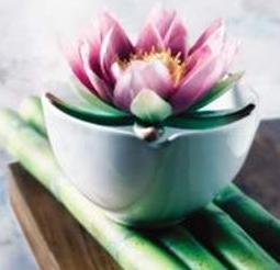 Alchemy Healing Techniques Australia