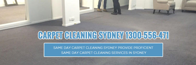 Same Day Carpet Cleaning