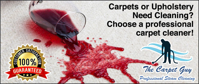 The Carpet Guy