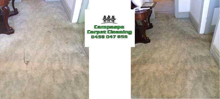 Campaspe Carpet Cleaning