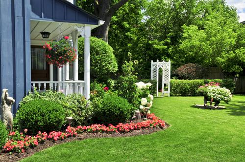 Geelong Lawn Care