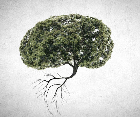 Where We Grow