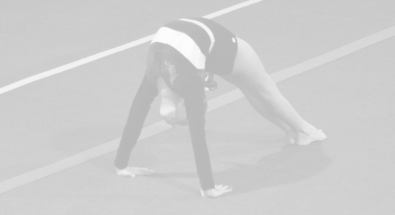 North West Gymnastics