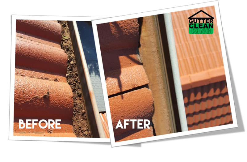 Gutter Clean King