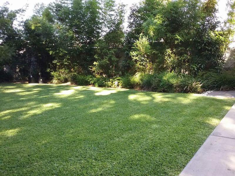 DGK Lawns and Gardens