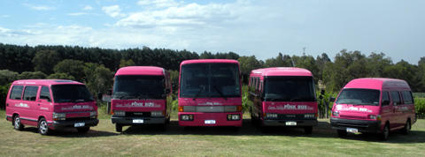 Pink Bus & Limousine Tours