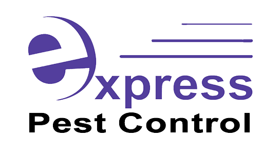 Express Pest Control: Inala logo