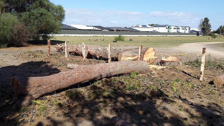 All Tree & Stump Removal