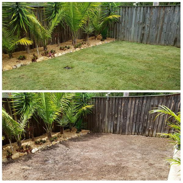 Albert Valley Turf
