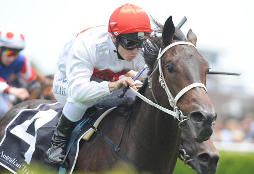Dynamic Syndications