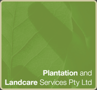 Plantation and Landcare Services