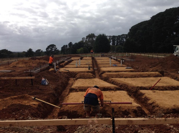 Anthony Ring Excavations