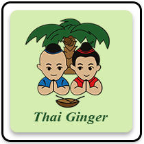 Thai Ginger Express: Redcliffe logo