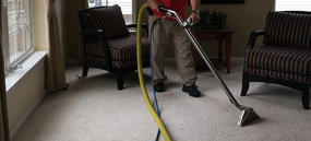 Carpet Cleaning Essendon