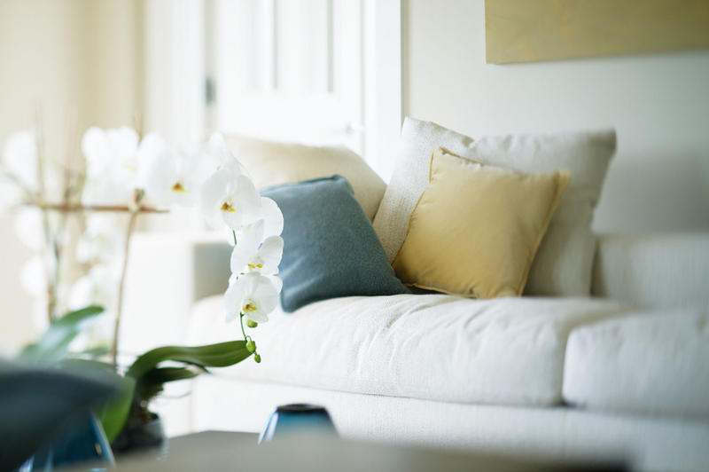 Avoca Design