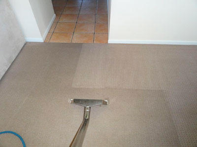Shine Property Services
