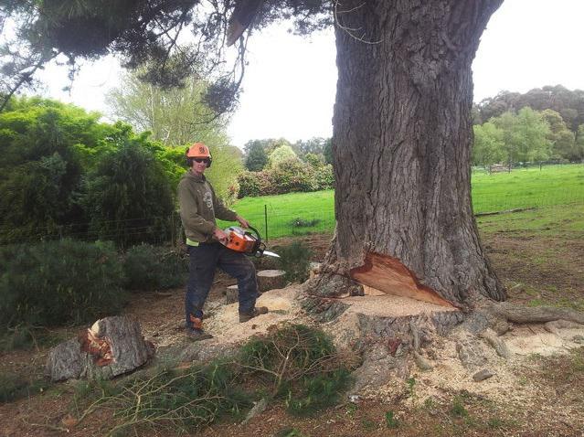 Simpson's Tree Service