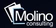 Molino Consulting logo