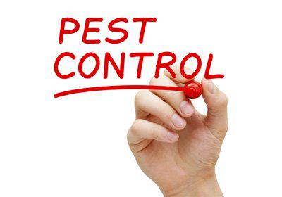 Economic Pest Control: Killawarra