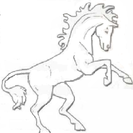 Beleg Faer Equestrian