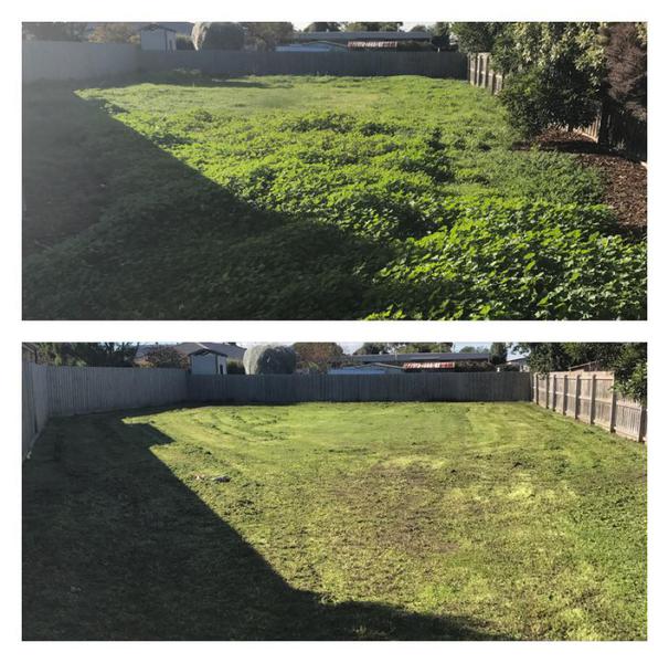 Adams Lawnscaping