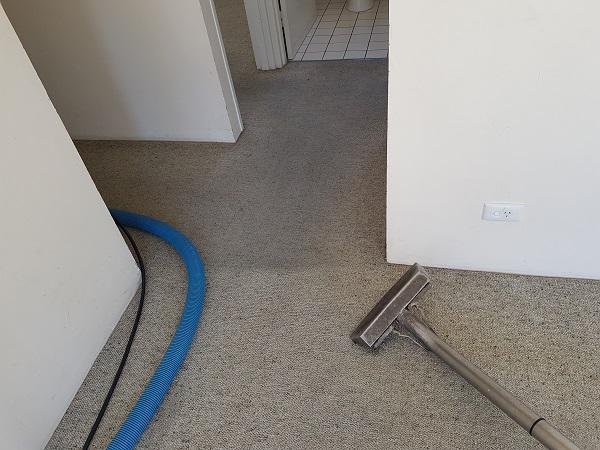 PJ's Carpet Care