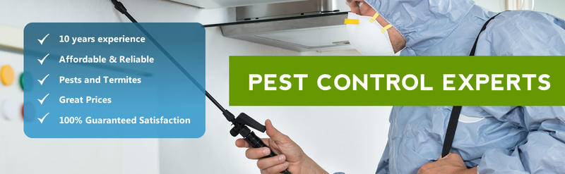 NO1 Pest Control