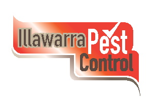 Knockem Down Pest Control