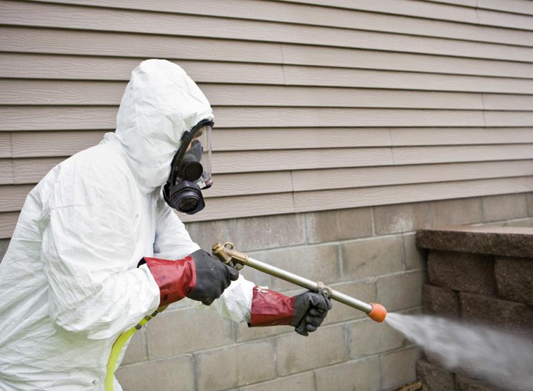 Pest Destroy