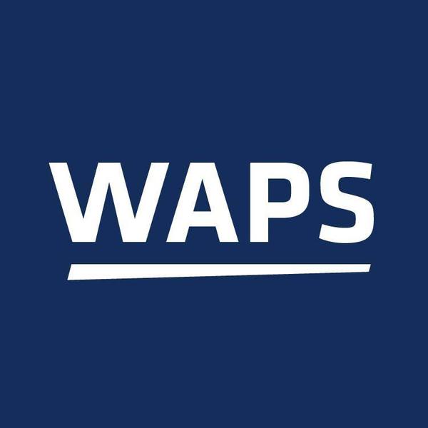WAPS Precision Surveys