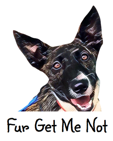 Fur Get Me Not