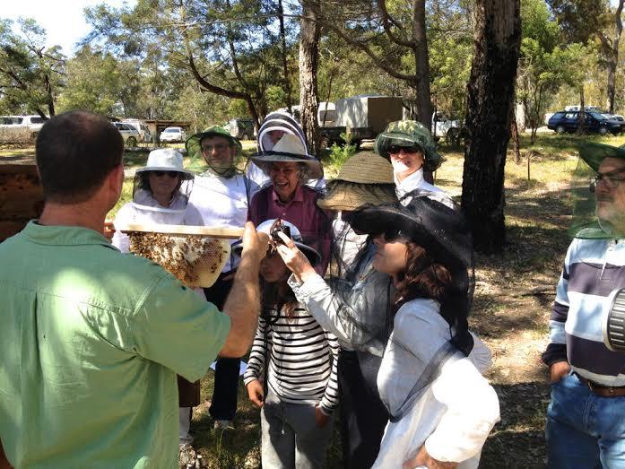 Beekeeping Naturally