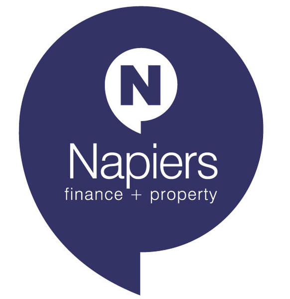 Napiers Financial Services Pty Ltd logo
