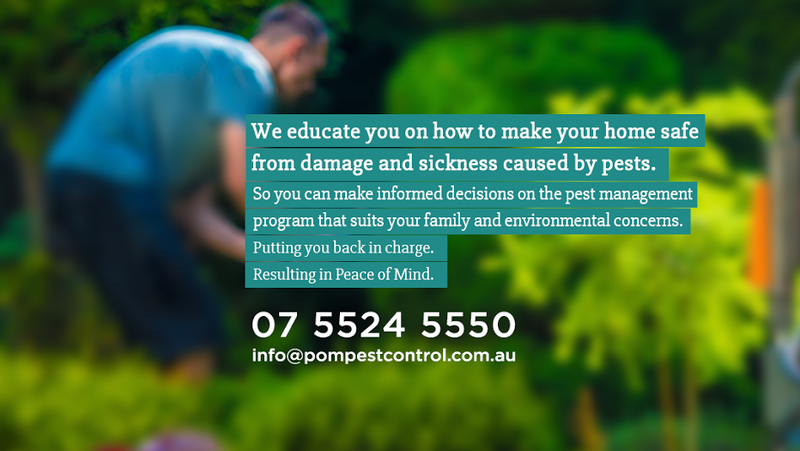 Peace Of Mind Termite & Pest Management: Burleigh Heads