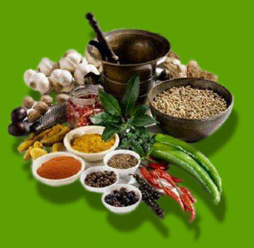 Yatan Holistic Ayurvedic Center