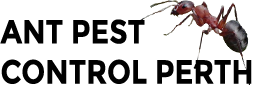 Ants Pest Control Perth logo