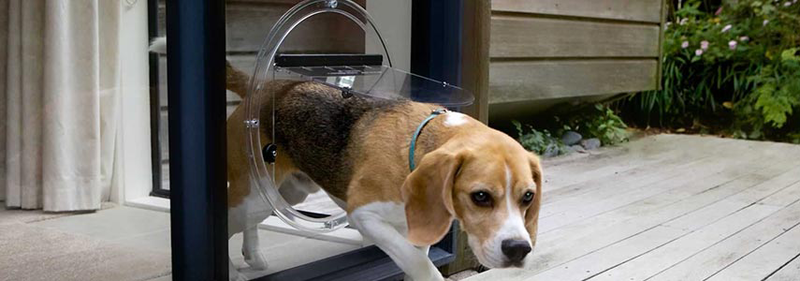 Pet Doors Melbourne