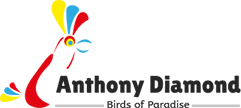 Birds of Anthony Diamond