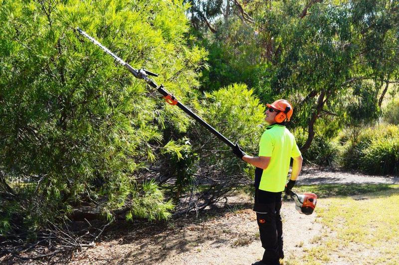 DMS Tree Removal