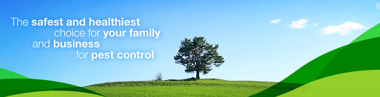 Pest Control South Western