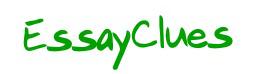 Essay Clues logo