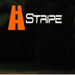 Stripe Line Marking logo
