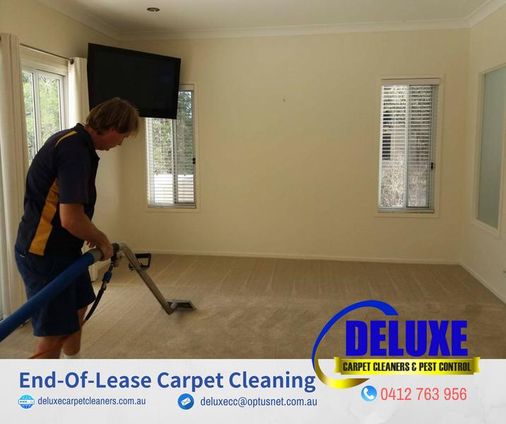 Deluxe Carpet Cleaners