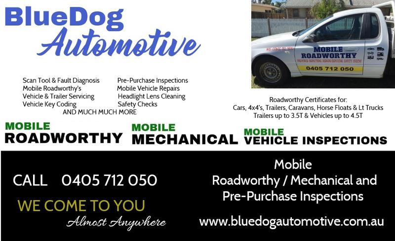 BlueDog Automotive