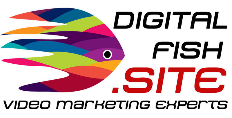 Digital Fish Video Agency