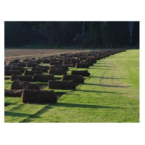 SLS Turf Pty Ltd