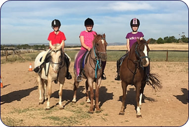 Alba View Equestrian