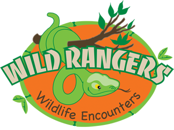 Wild Rangers logo