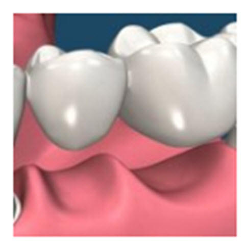 Bay Street Dental Group